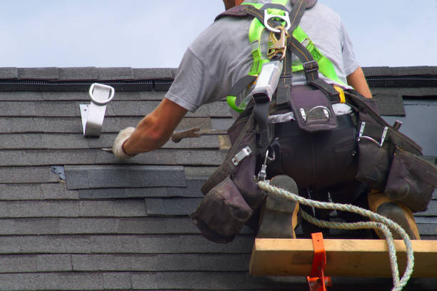 Best Gutter Installation and Roofing  in Ridge Wood Heights, FL