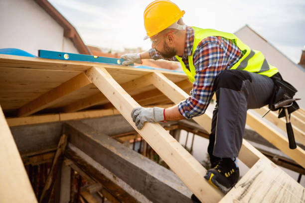 Roof Gutter Cleaning in Ridge Wood Heights, FL